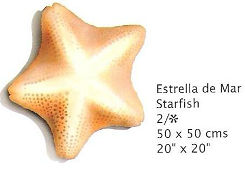 Estrella de Mar