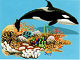 Orca